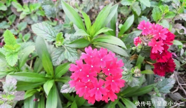 传统|宋江仅是施耐庵的宋江,是文人笔下一个传统道德践行者的化身