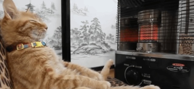 阳气不足|热水袋也是养生法宝!简单5步,把阳气吸进身体里,温暖过寒冬!