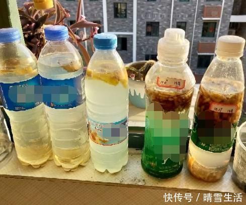 果皮|自制肥料难不难?有着20年经验的养花人:懂“这2样”就够了