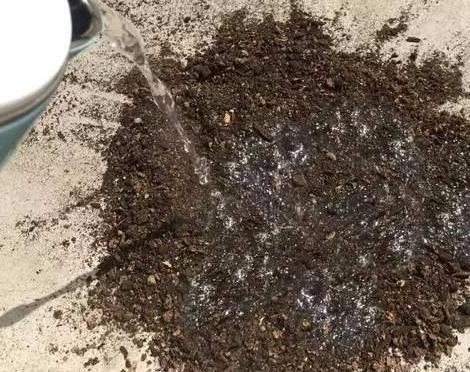 搞来的养花土，少做这一步，养什么花都活不了