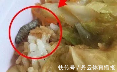 做饭|怀孕6个月,胎儿“胎死腹中”?都是孕妇“太懒”惹的祸