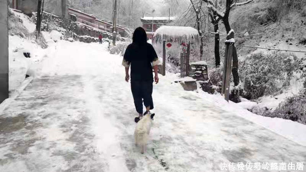 秦岭|秦岭终南山雪后爬山，偶遇神秘山洞和终南隐士，零下二十度怎么过冬？最害怕这件事