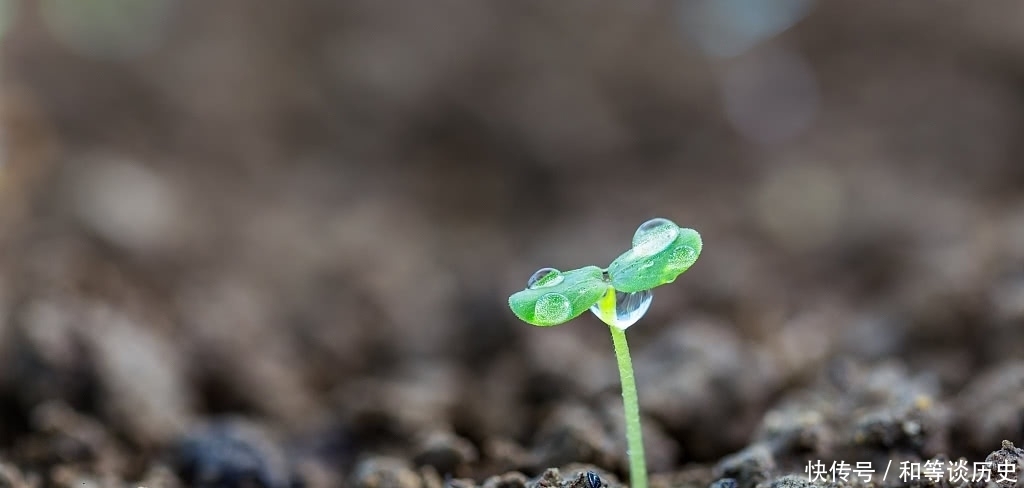 写作|白钉学写作:冬日物语,希望