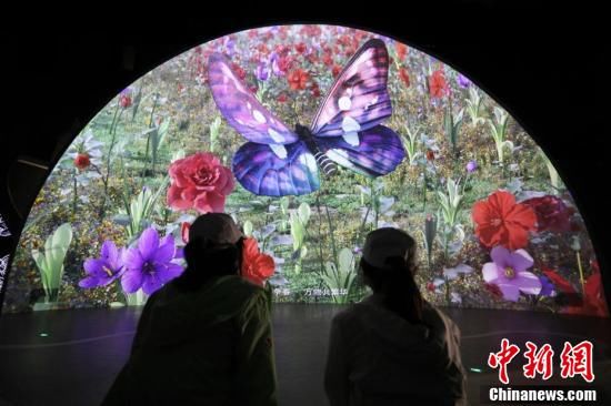 中国花博会|裸眼3D、全息影像沉浸式体验不一样的花博盛会