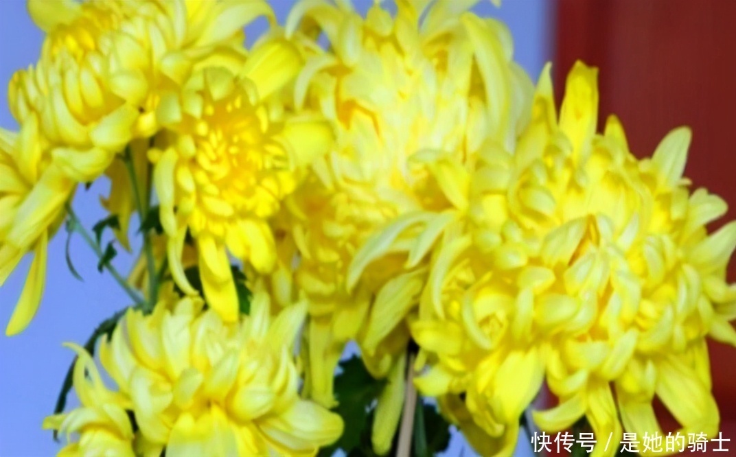 营养|想长寿全靠吃,3种食物离不开,补充营养,提高免疫力