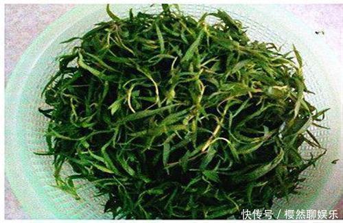 血压|七月,这个野菜随处可见,清热去暑降血压,不懂的人把它当草