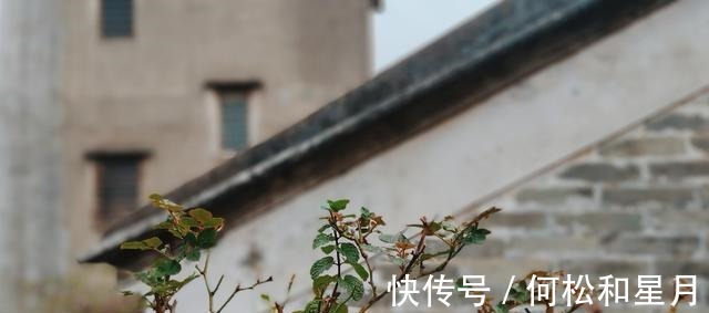 爱人|喜鹊欢叫，桃花怒放，遇到真爱，拥抱真爱，余生不分离