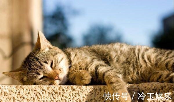 |幽默笑话：昨晚我和媳妇吵架，最后老婆被我逼急了，后果很严重！