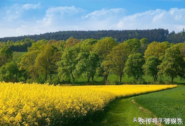 宋代有名的77天宰相,被罢免后写下这首28字诗,贤相风骨名不虚传