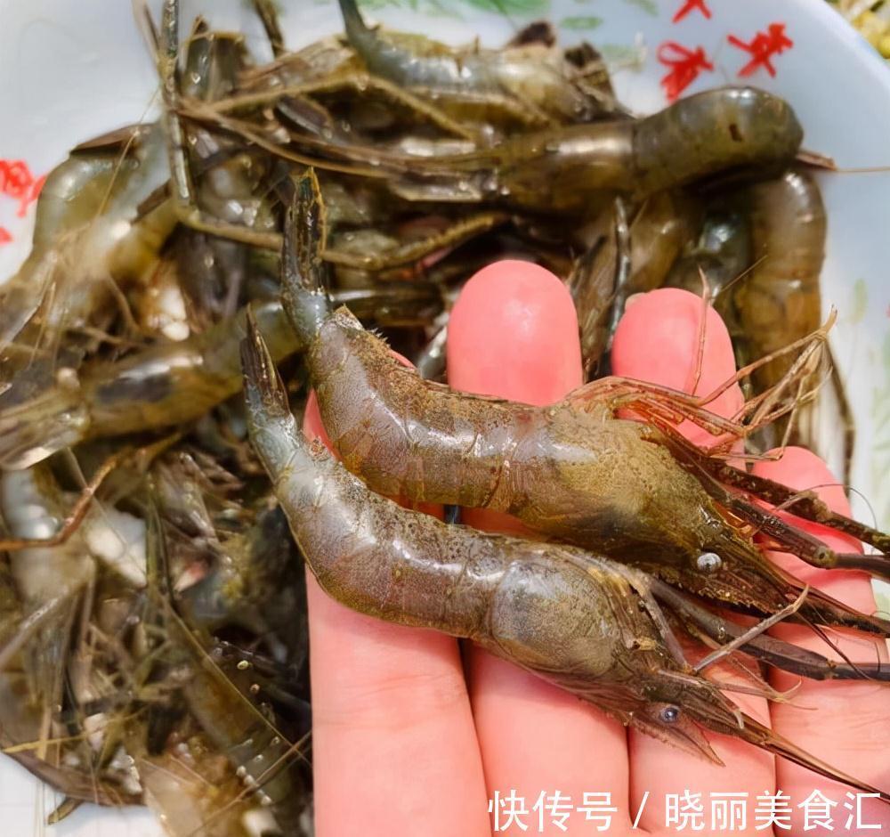 十一二月钓鲤鱼,用上这三种饵料,不怕鲤鱼不上钩