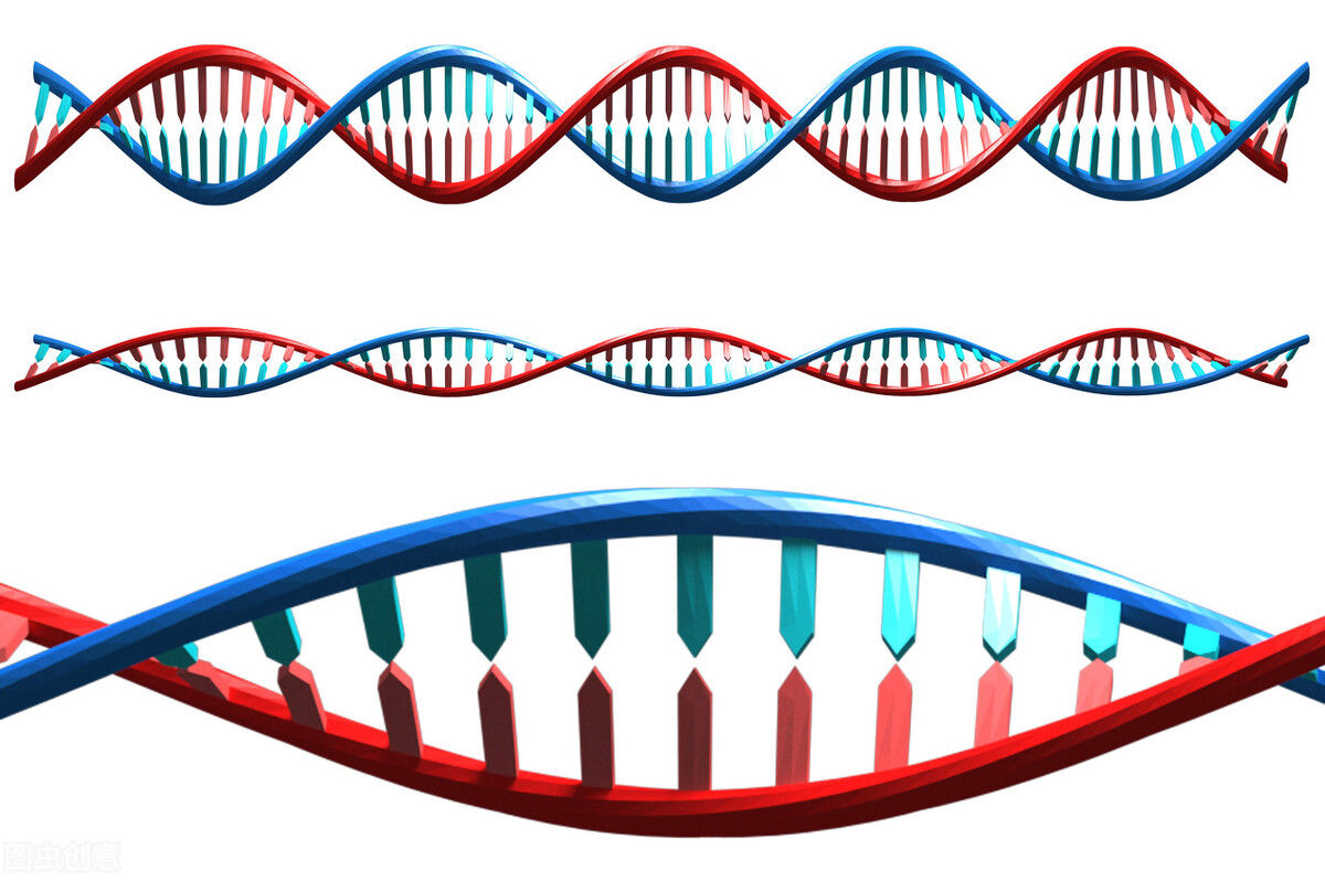 全球|60岁大叔心脏越来越“胖”，治了20年才发现，竟然是这种全球罕见病造成的
