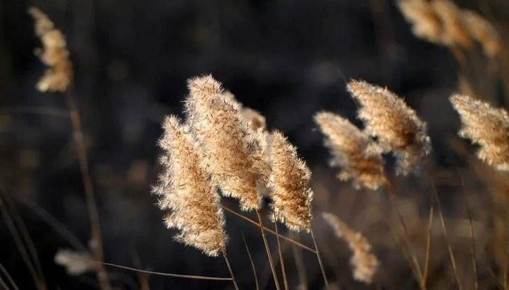 泰山西湖|全部免费！适合一日游的泰安景点，收好够玩一整年