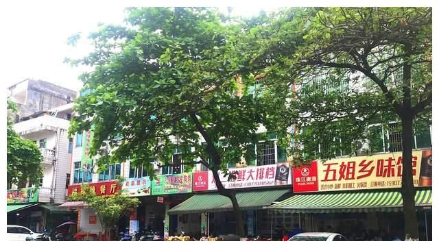 在广西东兴国门景区，邂逅一条美食街，异域风情小吃太诱人