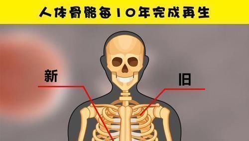 学校里可能没有教过你的10个很有趣的小知识