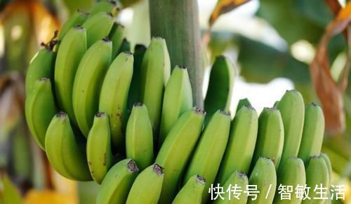 食物|对女性极好的食物,不妨常吃,延缓衰老,滋养肌肤,越吃越年轻