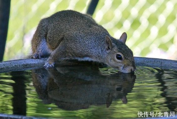 健脾|“长夏”时节湿气交困，养肺健脾很重要