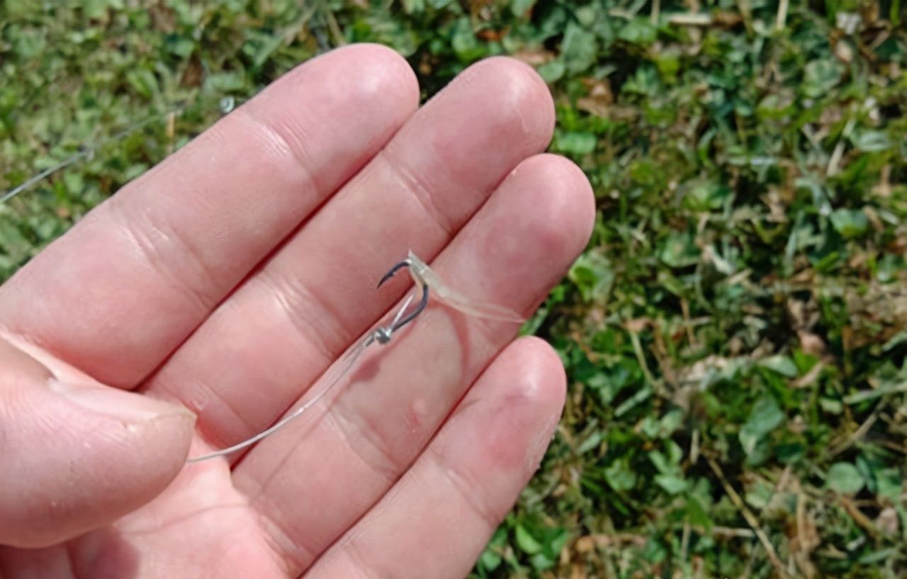 老钓友坦言，冬季钓鱼我只用这三种东西做饵料，鲫鱼一钓一个准