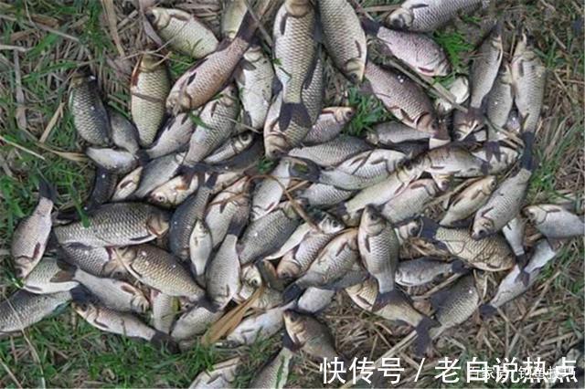 阴天|冬季钓鱼,不是什么天气鱼都开口,4种天出门