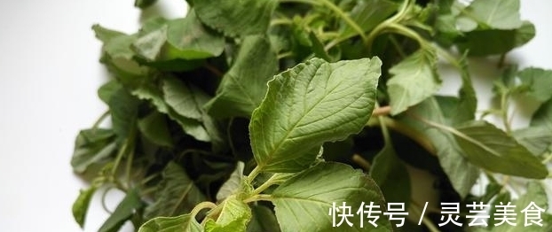 饺子馅|含钙量是菠菜的三倍，做饺子馅特别香，一口一个停不下来