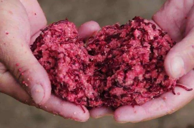 老钓手:拉饵我从不单用!只要学会这些搭配方式,大板鲫特好钓