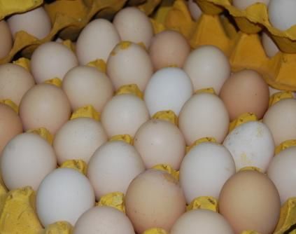  哪种|买鸡蛋时，红壳和白壳选哪种？弄清它们的区别，以后别乱买了