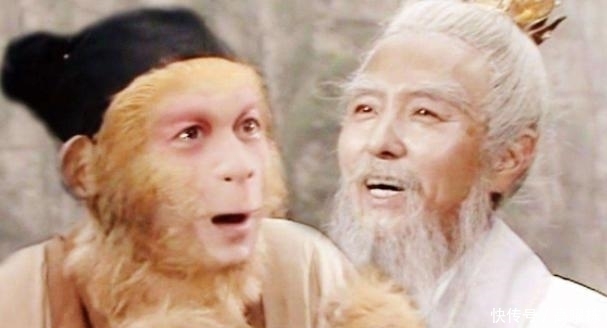  樵夫|菩提跟如来住在一座山，如来为何没察觉？你听方寸山樵夫怎么说？