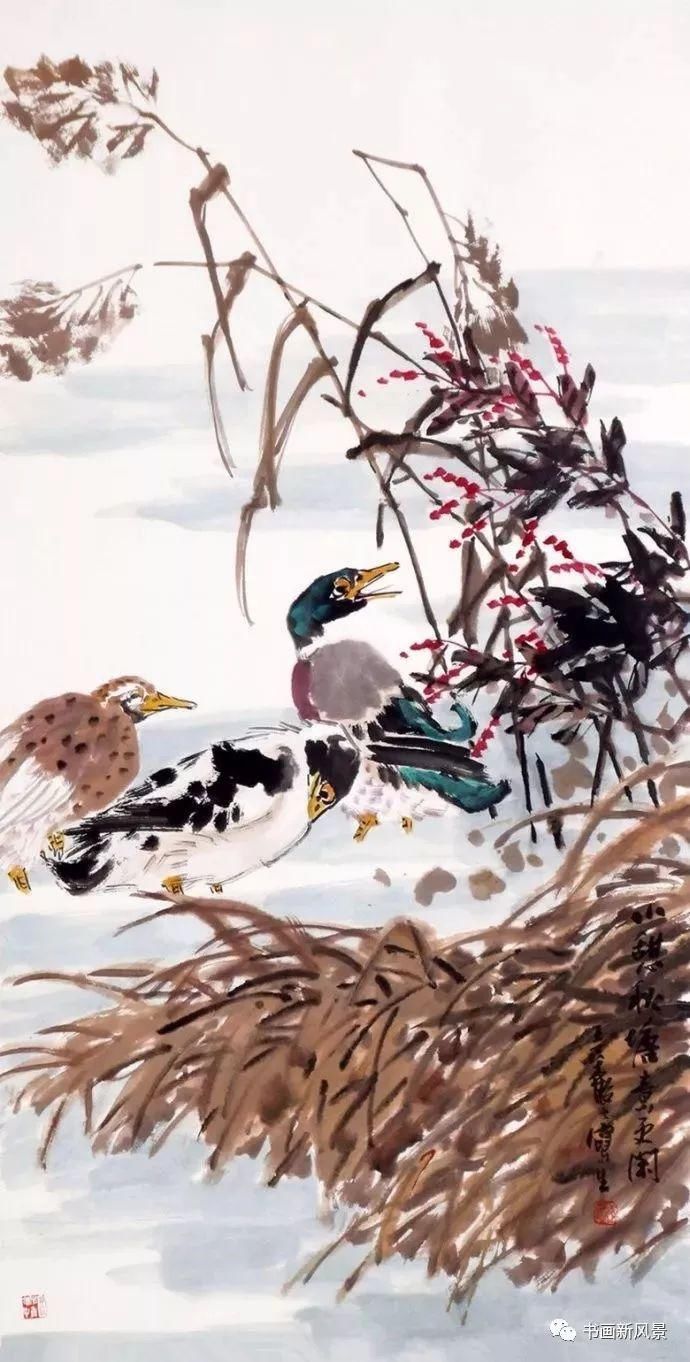  张辛稼|一鸟一虫一世界，真美！