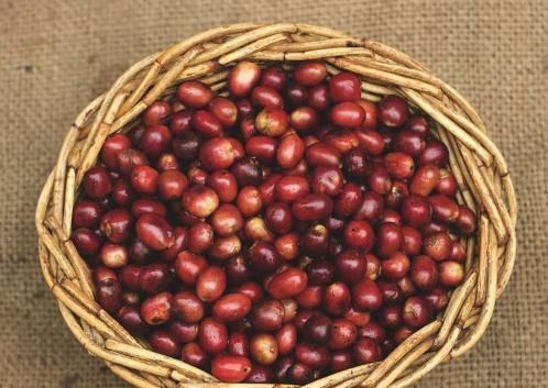 薏米|身体有7个反应,说明体内湿气过重,提醒你该祛湿了