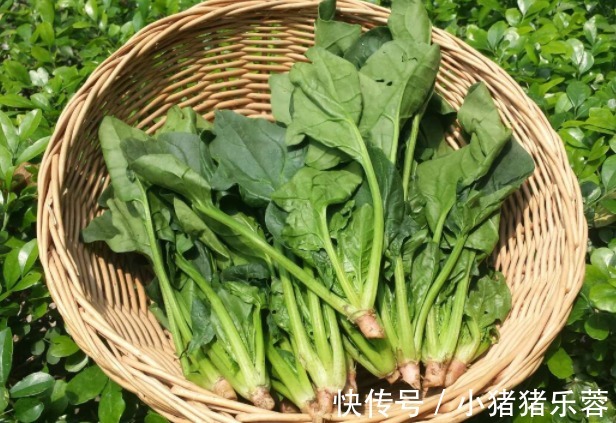 草酸|常吃西红柿会伤甲状腺，医生提醒，不想结节滞留，要少碰2种蔬菜