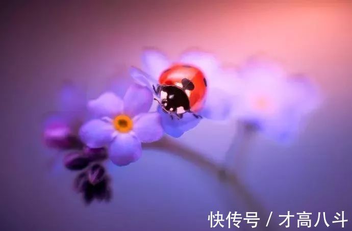 寄内!十位诗人写给妻子的诗,有怀念,有情话,有惋惜!