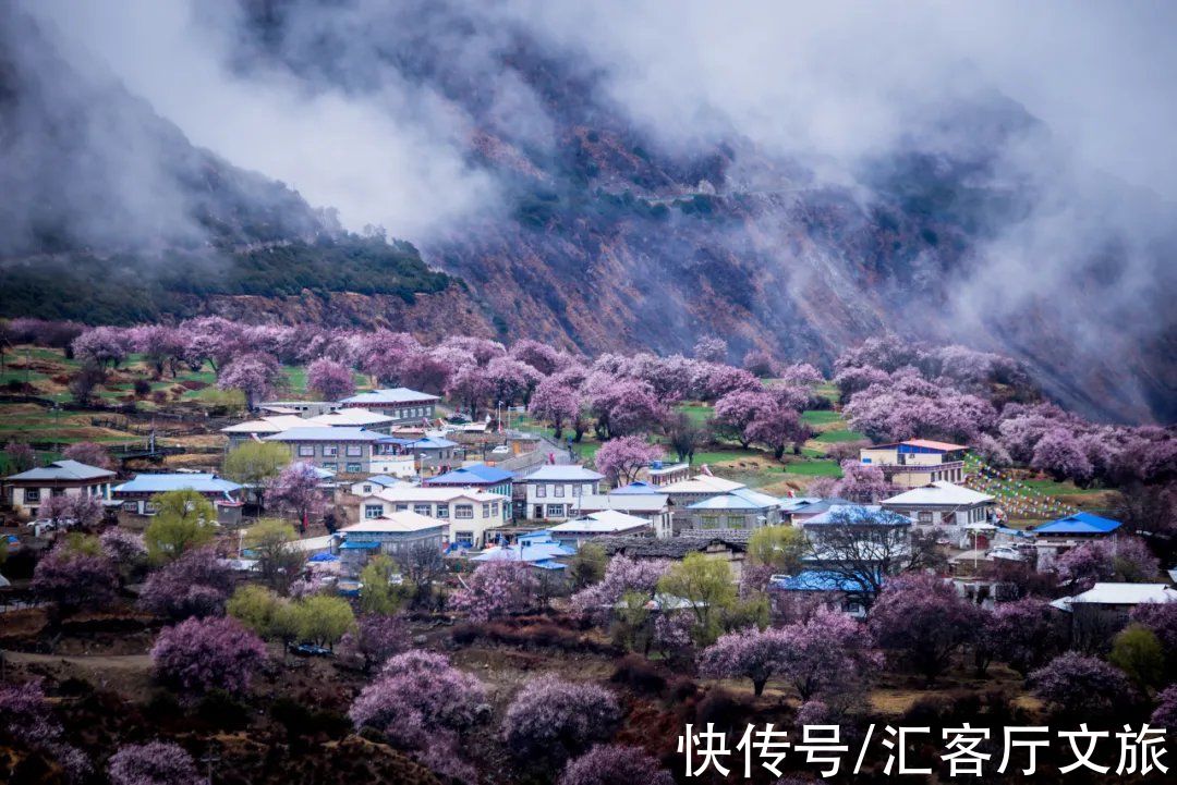 桃花|2022年的春天，期待一场林芝桃花与蓝冰的邂逅