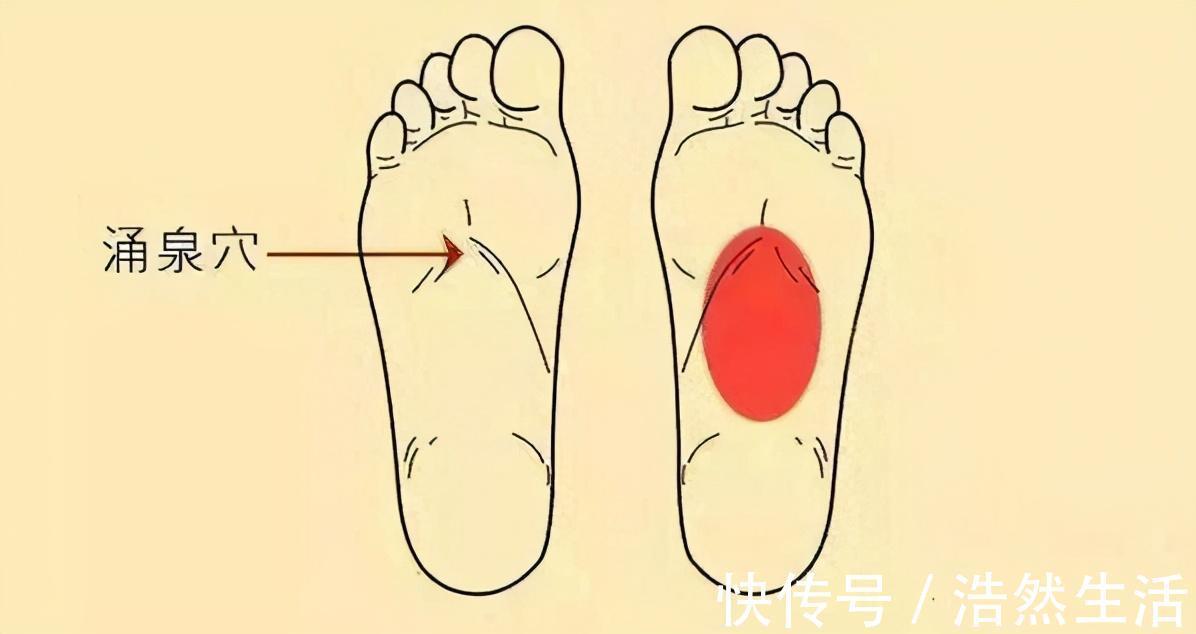 眉毛|寿命长的人,身体有“2处长”,即使占一个,也恭喜身体很健康