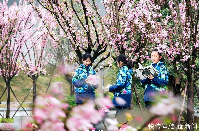 校长来了｜天府四中校长张显国：践行生命教育20年 只为唤醒学生生命潜能