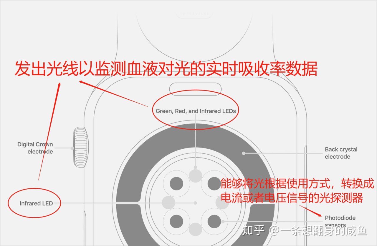 w＂杀手锏＂功能ECG过审，苹果向大健康领域丢出＂二向箔＂