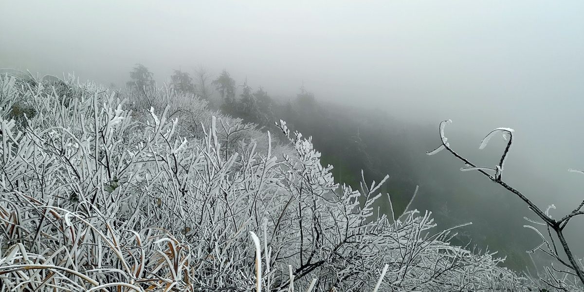 广西|广西灌阳高山雪景迎客来