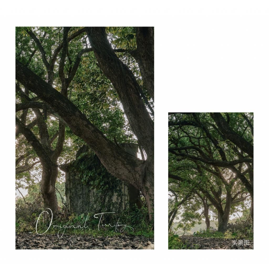 登云湖|相逢登云湖,看见越来越好的阳光城