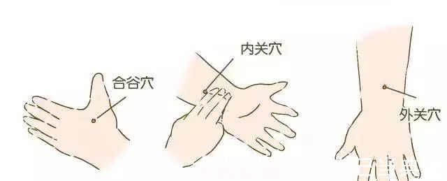 风池穴|老中医总结,哪里有病一看就知道!