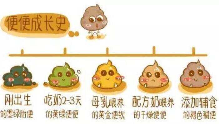 宝宝|便便是孩子健康的“晴雨表”,哪种健康哪种危险宝妈要心里有数