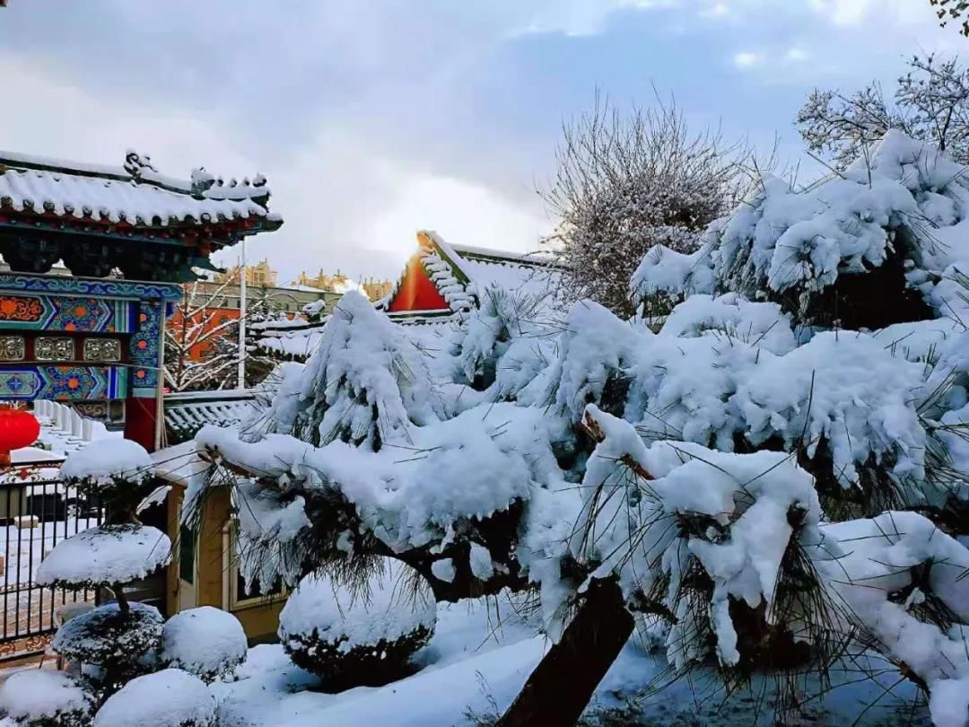 雪景|烟台终于下雪了！（附烟台绝美冰雪图）