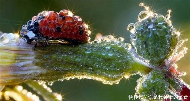 无憾|百年难得一见的奇景,能目睹一回就此生无憾了