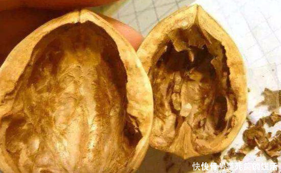 记忆力|核桃壳不要扔了，用水煮一煮，能解决许多人的烦恼，为健康需重视