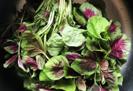 胡萝卜|4块钱一斤，含钙高，教你好吃的做法，不炒不炸也不煮，老少皆宜