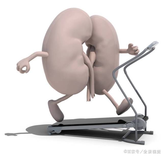 张仲景留下4味草药,悄悄试试,阳气越攒越多