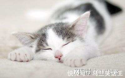 |幽默笑话:小叔家的弟弟今年二十六了,家里给安排去相亲