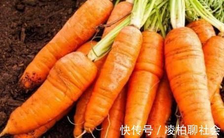免疫机制|胡萝卜配一宝煮粥，每天一碗，补气养血，血管通了，视力也越好