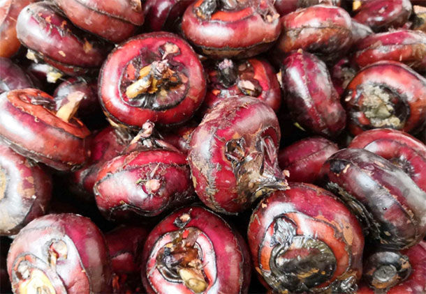 诱发|专家列出4种“黑名单”食物,比“敌敌畏”还毒,再好吃也要扔掉