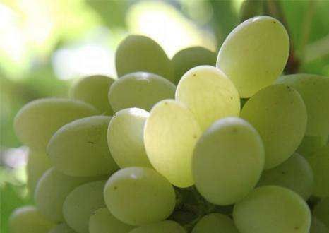 养颜|女性不愿早衰,推荐多吃三种食物,健康又廉价,补血养颜