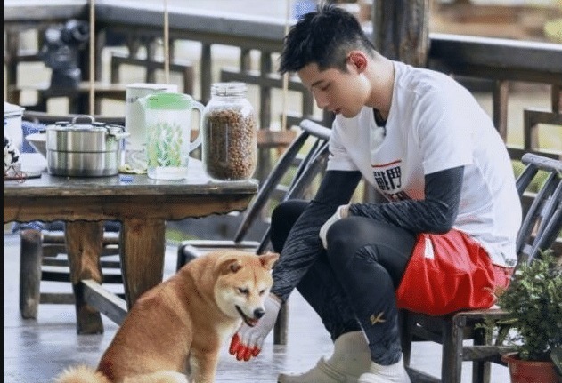 《向往3》张继科想带走瓢哥，为啥最后却是盆妹一个表情明白了