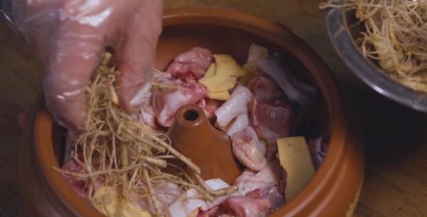 北回归线|文山三七宣传片——《时光里的三七》