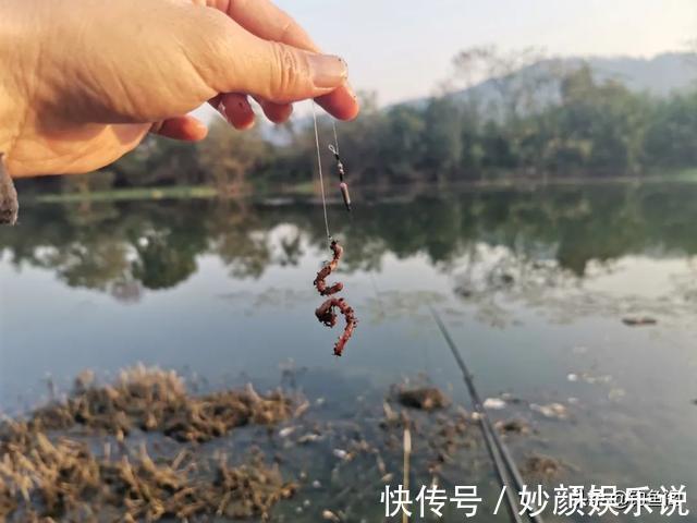 挂法|玉米如何挂钩命中率更高?挂钩方法并不重要,鱼钩才是重点